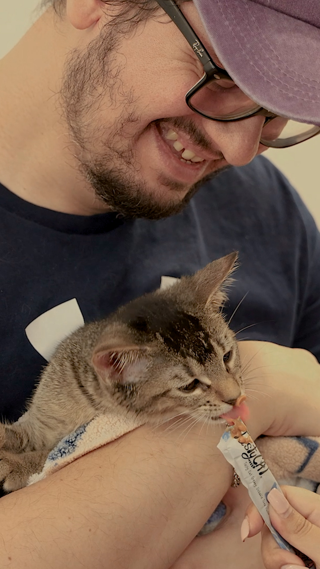 Gato con TastyCat