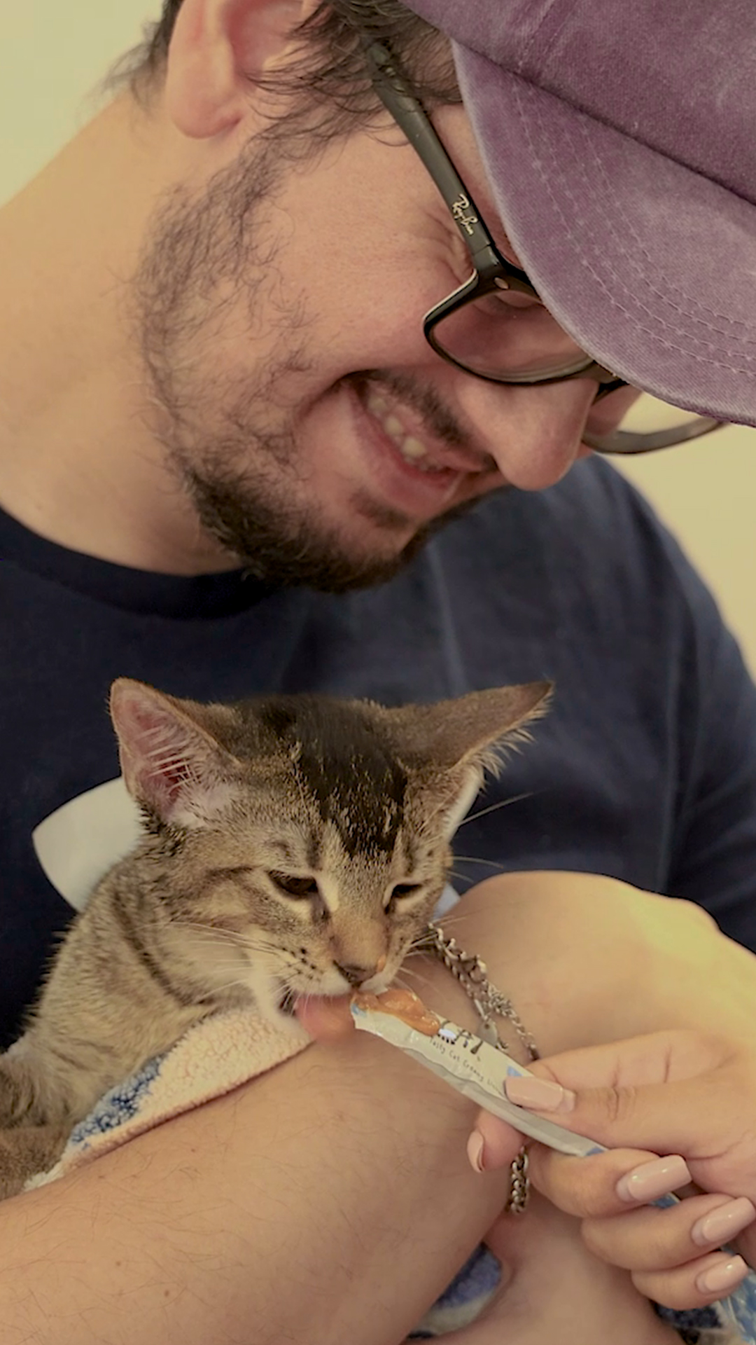 Gato con TastyCat