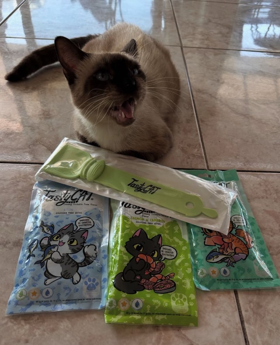 TastyCat 5 sabores