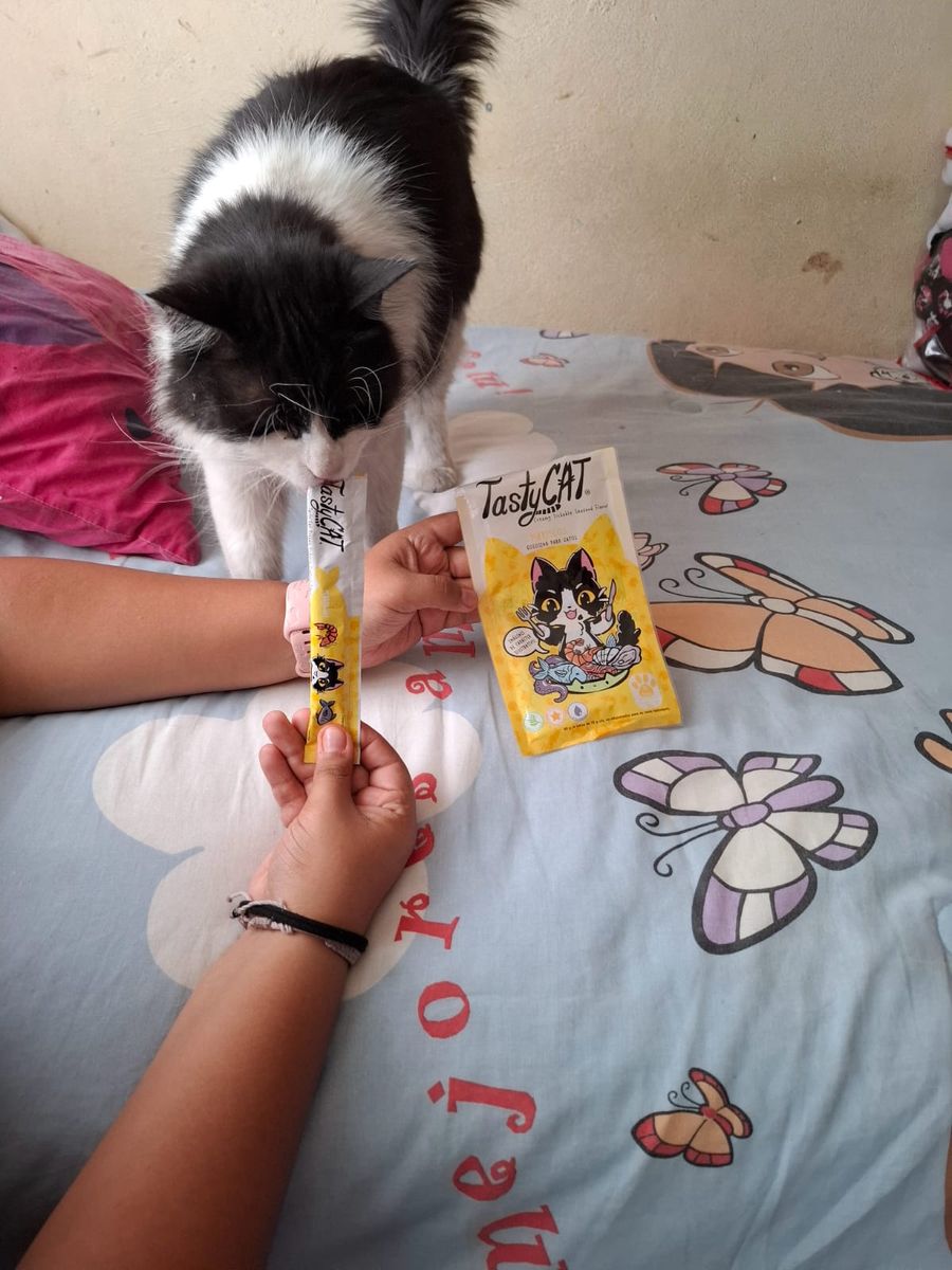 Gato con TastyCat Mariscos